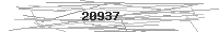 Verification Image